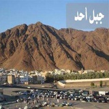 Telegram profile photo for قناة فتاوى عمر بن الخطاب وأقضيته وأخباره