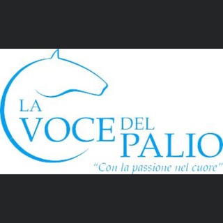 Telegram profile photo for La Voce del Palio