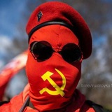 Telegram profile photo for Канал исторической правды