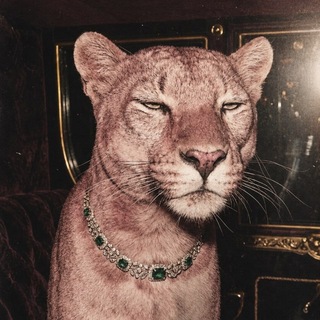 Telegram profile photo for SKOUP INFO