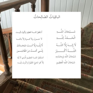 Telegram profile photo for استغفاري سعادتي 🕊