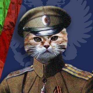 Telegram profile photo for Русские коты | Z