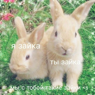 Telegram profile photo for Пикчи для переписок