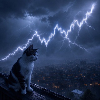Telegram profile photo for TOMIOKA CRYPTO