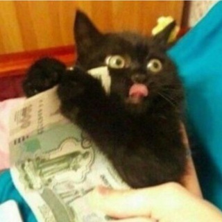 Telegram profile photo for Распродаю вещи✨