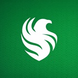 Telegram profile photo for Team Falcons CS2