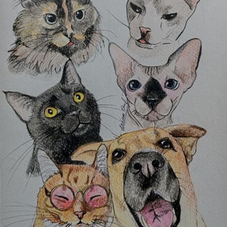 Telegram profile photo for Пятикотовье и шабака