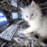 Telegram profile photo for anxiel