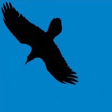 Telegram profile photo for СНТ Токсовское