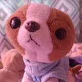 Telegram profile photo for ππ’π¨