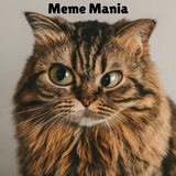 Telegram profile photo for 🤠Meme Mania🤓