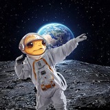 Telegram profile photo for P三P三 Portal