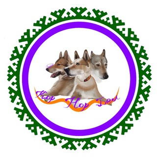 Telegram profile photo for Kornorbel - амуниция и адресники