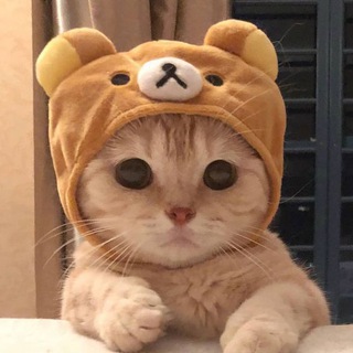 Telegram profile photo for Взаимные подписки