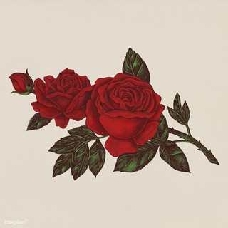 Telegram profile photo for ROSE