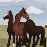 Telegram profile photo for Harbinger