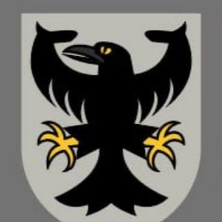 Telegram profile photo for Borukva Social
