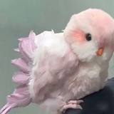 Telegram profile photo for ПЕРЕХОДНИК