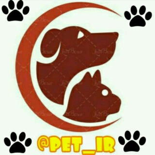 Telegram profile photo for نیازمندی و فروش حیوانات خانگی
