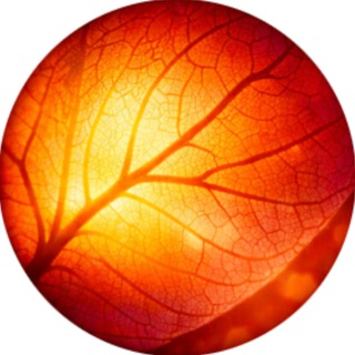 Telegram profile photo for Understand your biology
