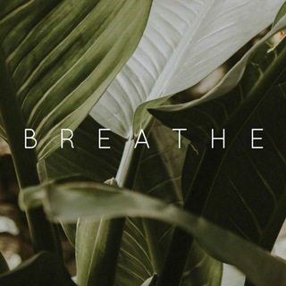 Telegram profile photo for Deepbreath